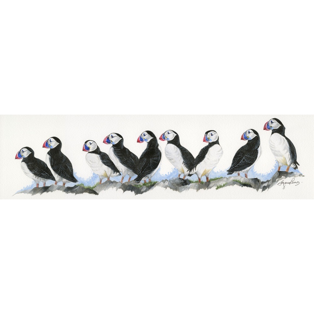 water-and-coastal-birds-paintings-puffins-circus-suzanne-perry-art-093_1941954164