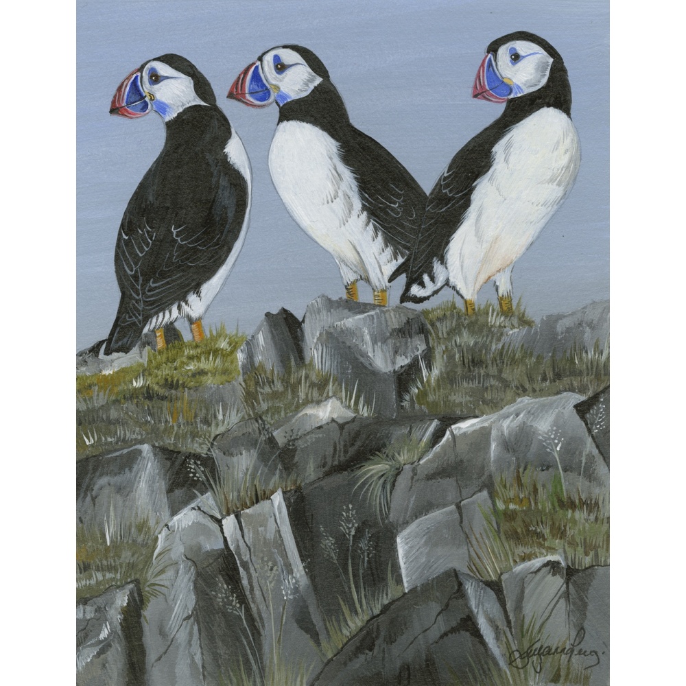 water-and-coastal-birds-paintings-puffins-three-gentlemen-suzanne-perry-art-153