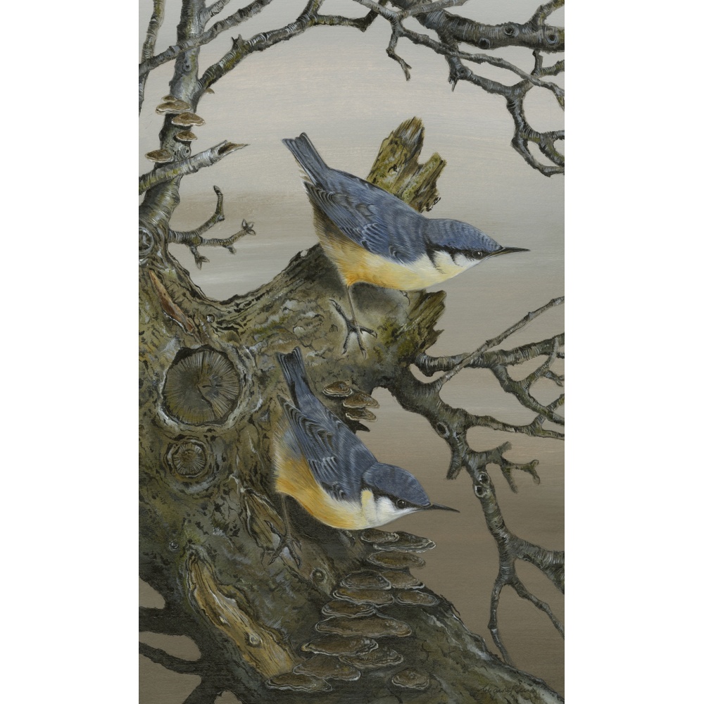 woodland-birds-paintings-nuthatches-double-take-suzanne-perry-art-210_1926495406