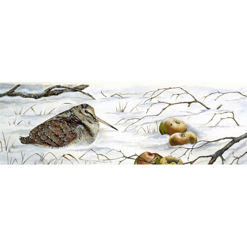woodland-birds-woodcock-winter-woodcock-suzanne-perry-art-270_1603883394