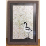 birds-avocets-map-suffolk-suzanne-perry-art-m1