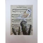 birds-barn-owl-moonlight-sonata-suzanne-perry-art_859345174
