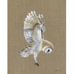 birds-barn-owl-moonstone-canvas-website_1618707847