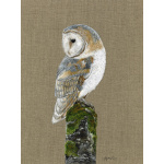 birds-barn-owl-opal-canvas_website