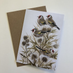 birds-cards-goldfinches-charm-7x5_59925109