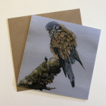 birds-cards-kestrel-6x6
