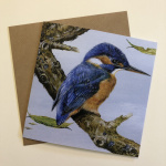 birds-cards-kingfisher-on-branch-6x6