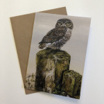 birds-cards-little-owl-hazel-7x5