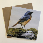 birds-cards-redstart-6x6_jjpg