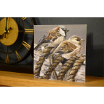 birds-cards-sparrows-6x6