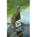 birds-fine-art-prints-kingfisher-fishermans-rest-suzanne-perry-art-112