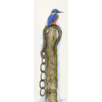 birds-fine-art-prints-kingfisher-im-hooked-suzanne-perry-art-064_356023838