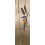 birds-fine-art-prints-kingfisher-sunrise-suzanne-perry-art-137