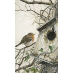 birds-fine-art-prints-robin-in-residence-suzanne-perry174_1239585303