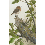birds-fine-art-prints-robins-rest-suzanne-perry-art-192