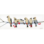 birds-fine-art-prints-waxwings-suzanne-perry-art-059_1022490913