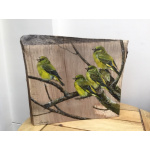 birds-greenfinches_-_walnut