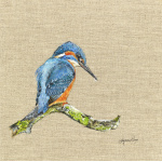 birds-kingfisher-canvas_website
