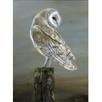 birds-of-prey-barn-owl-on-post-spart-432