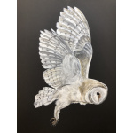 birds-of-prey-barn-owl-tito-s-p-art-401