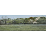 birds-of-prey-paintings-barn-owl-bildeston-barn-owl-suzanne-perry-art-134_1458129468