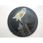 birds-slates-gifts-barn-owl-12-inch-a-suzanne-perry-artjpg