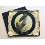 birds-slates-gifts-little-owl-10-inch-a-suzanne-perry-artjpg