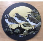 birds-slates-gifts-ringed-plovers-12-inch-a-suzanne-perry-art