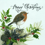 christmas_card_robin_cropped_2020_1543537513