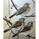 fieldfares_on_aluminium
