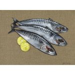 fish-slice-of-lemon-s-p-art-349-website_1948450497