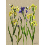 flowers-iris-on-linen-canvas-spart-372_for_website