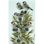 garden-birds-paintings-goldfinches-five-gold-rings-suzanne-perry-art-288_1321904375