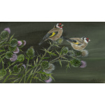 garden-birds-paintings-goldfinches-thistles-charm-suzanne-perry-176