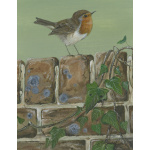 garden-birds-paintings-robin-and-the-ivy-suzanne-perry-161