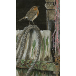 garden-birds-paintings-robin-standing-proud-suzanne-perry-art-197