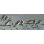 garden-birds-paintings-sparrows-flutter-suzanne-perry-art-201