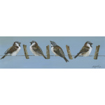 garden-birds-paintings-sparrows-quartet-suzanne-perry-art-165