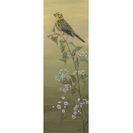 garden-birds-paintings-yellowhammer-suzanne-perry-art-171