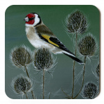 goldfinches_final_coaster_spart_389_copy
