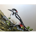 great_spotted_woodpecker_602058131