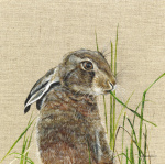 hare-harriet-canvas-1_website_656817860