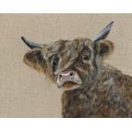 highland-cow-mctavish-canvas-337_-website_1602989927