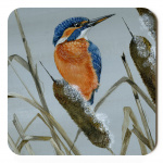 kingfisher_final_coaster_spart_384_copy