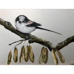 long_tailed_tit_on_aluminium_2094823125