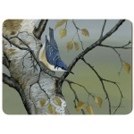 nuthatch_292x216_placemat_spart_385_copy_1863001750