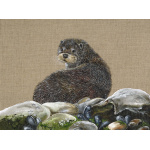 otter-canvas-332_website