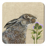 thistle_hare_-_canvas_-_coaster_-_spart_317_copy