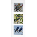 viisting-birds-paintings-waxwings-great-tits-swallows-perfect-pairs