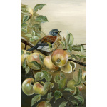 visiting-birds-paintings-fieldfare-autumn-fayre-suzanne-perry-107